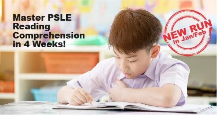 4-Week PSLE Chinese Comprehension Intensive Programme 4-Week PSLE Chinese Comprehension Intensive Programme