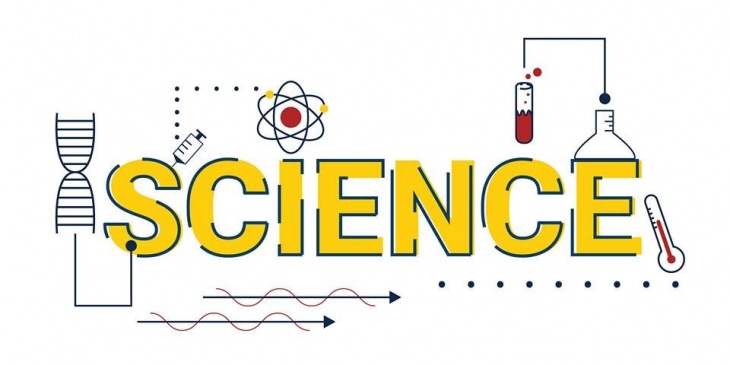 science template elita aisushi co