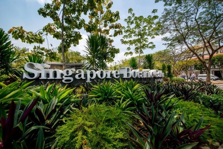 Rain Forest Tour Rain Forest Tour
