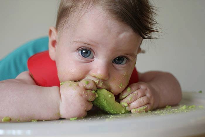 Introducing Food to Baby Introducing Food to Baby