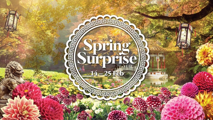 Spring Surprise Spring Surprise
